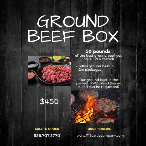 Ground Beef Box